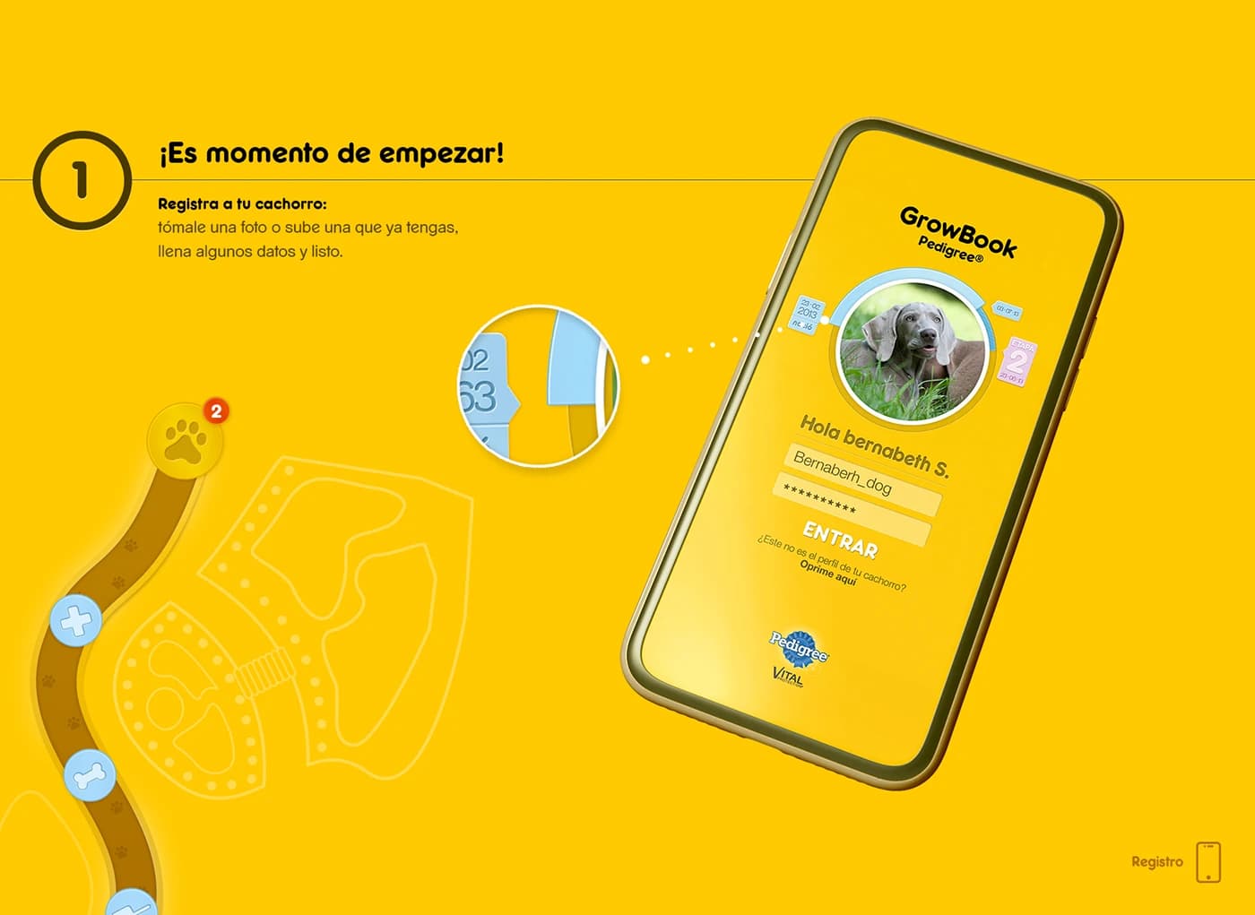 UX Pedigree — frame 2