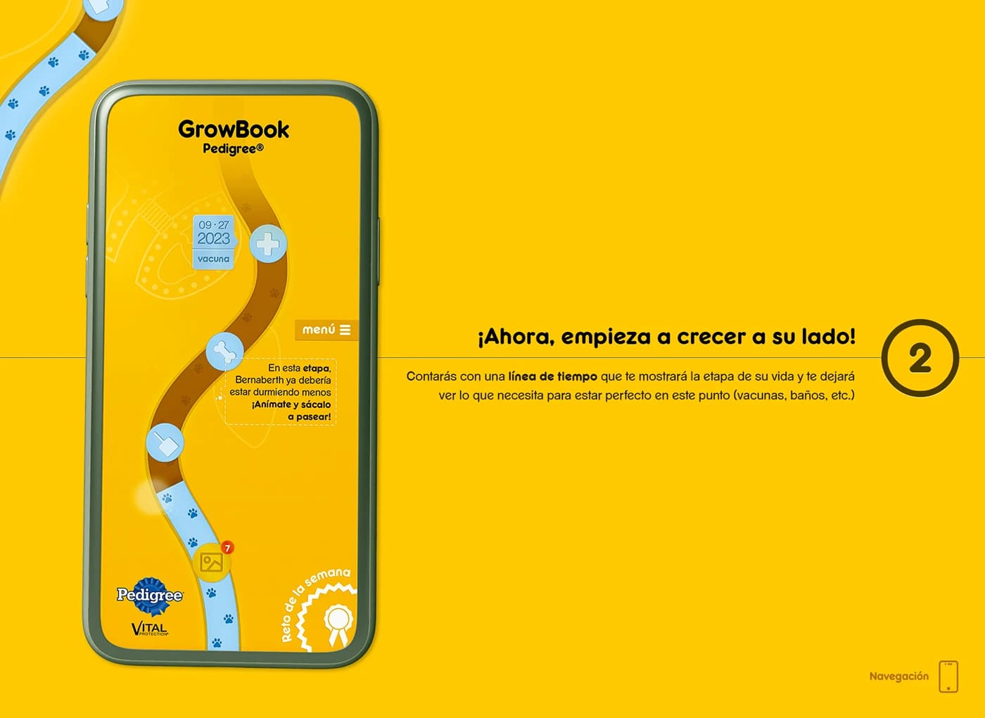 UX Pedigree — frame 3