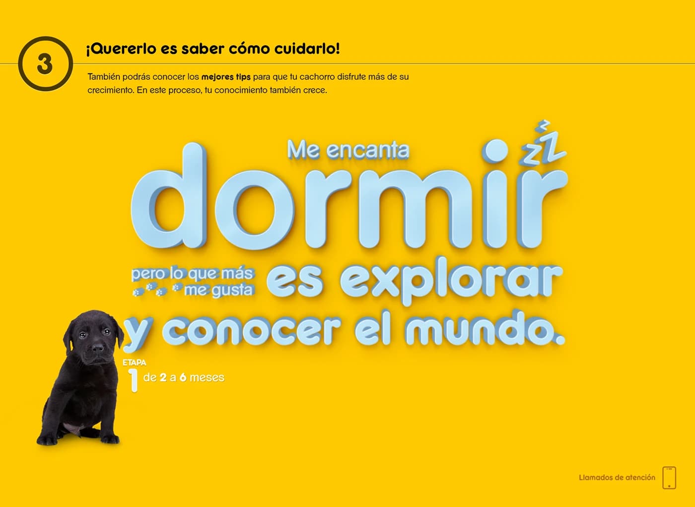 UX Pedigree — frame 4